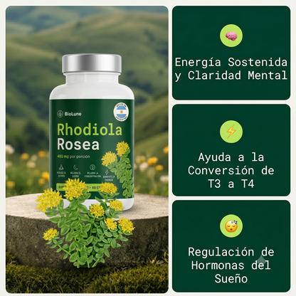 Adaptógeno Natural BioLune | Reduce el cansancio mental - Mejora la concentración