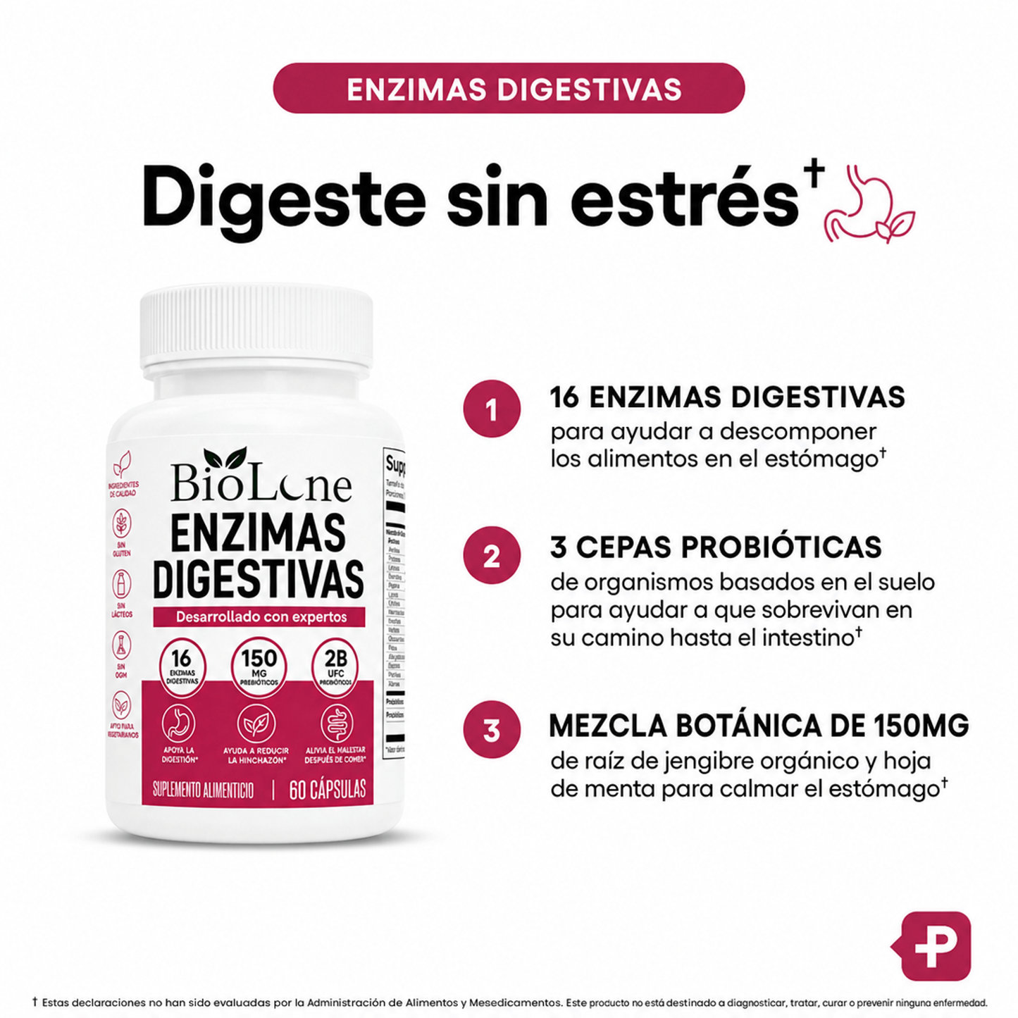 Enzimas Digestivas | Mejora la digestión, reduce la hinchazón