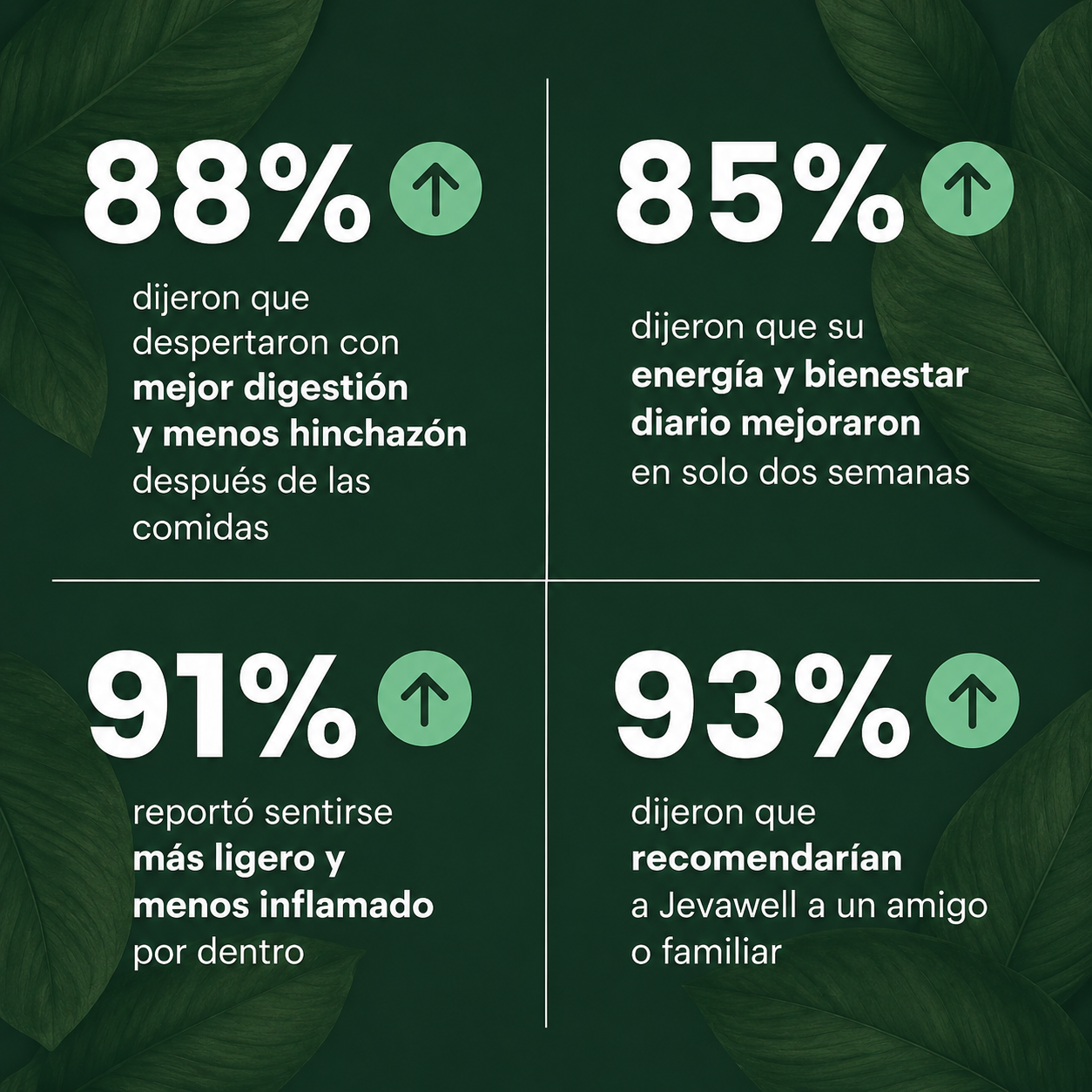 Probiótico Kombucha | Mejora Tu Salud Intestinal