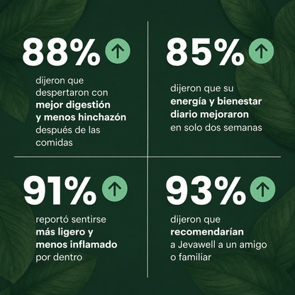 Probiótico Kombucha | Mejora Tu Salud Intestinal