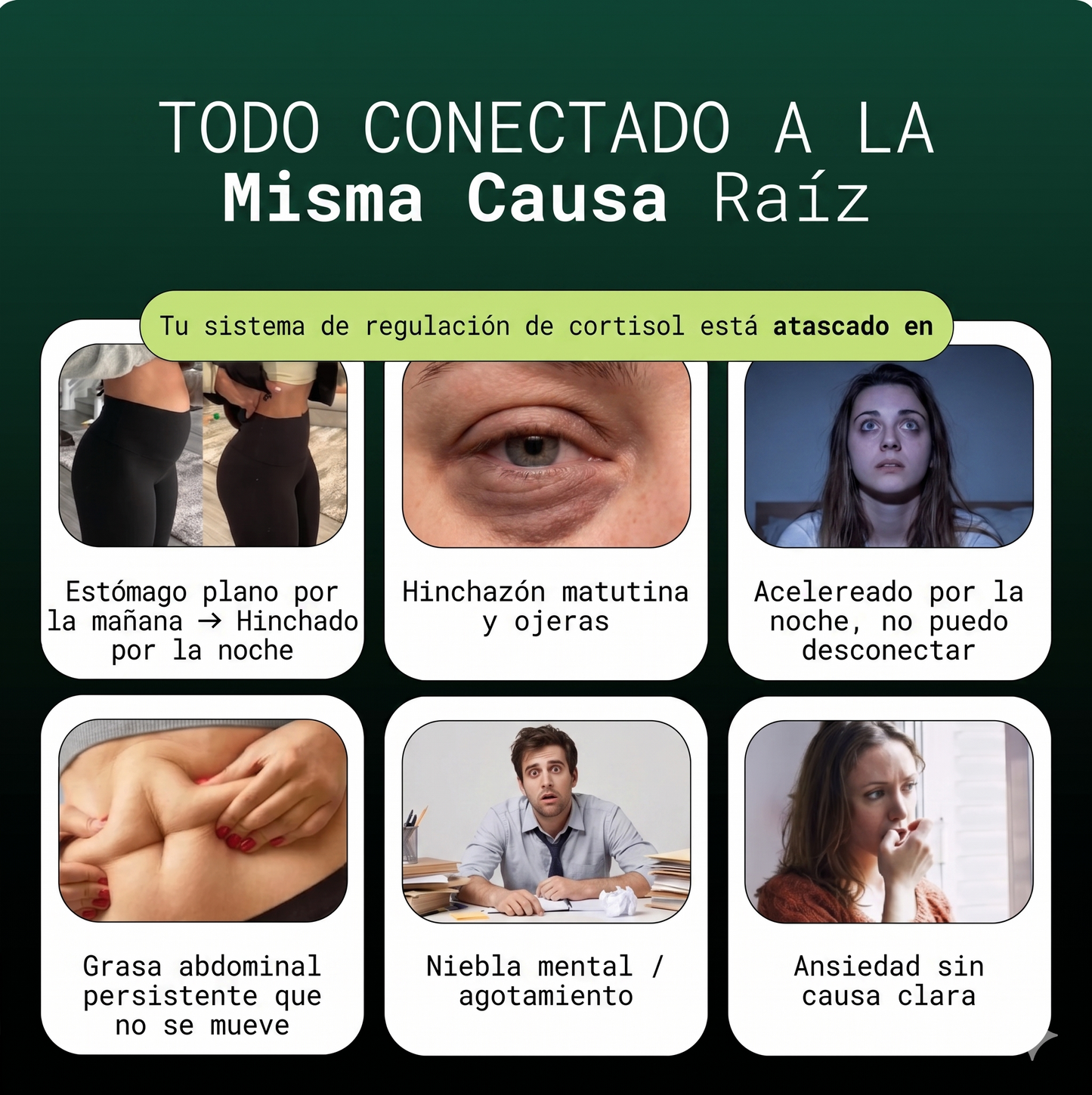 Adaptógeno Natural BioLune | Reduce el cansancio mental - Mejora la concentración