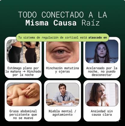 Adaptógeno Natural BioLune | Reduce el cansancio mental - Mejora la concentración