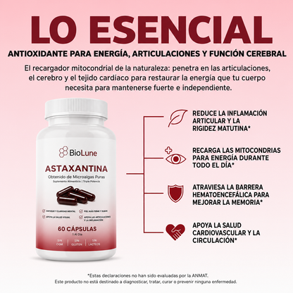 Antioxidante BioLune | Mejora la circulación y flujo sanguíneo