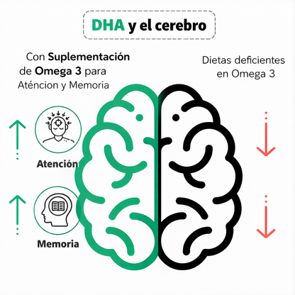DHA Omega 3- Gomitas Cerebrales