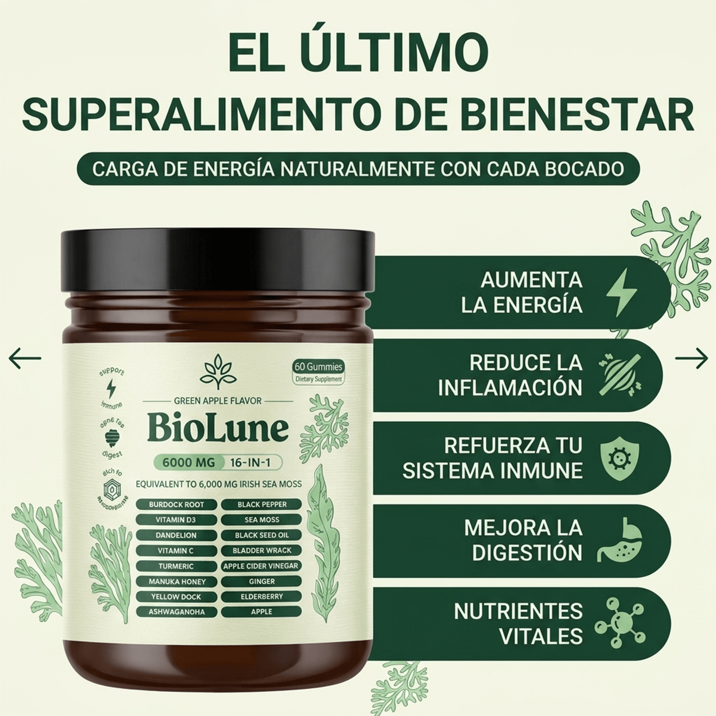 Sea Moss - Gomitas Multivitamínicas 16n1